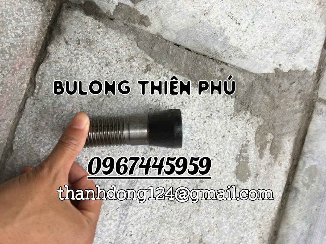 BULONG QUẢ BÀNG V2